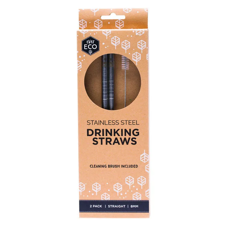 2 Pack Stainless Steel Straight Straws with Brush by Ever Eco