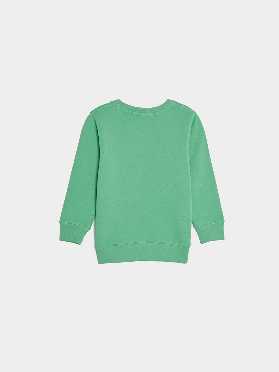 Fern Green Sweater