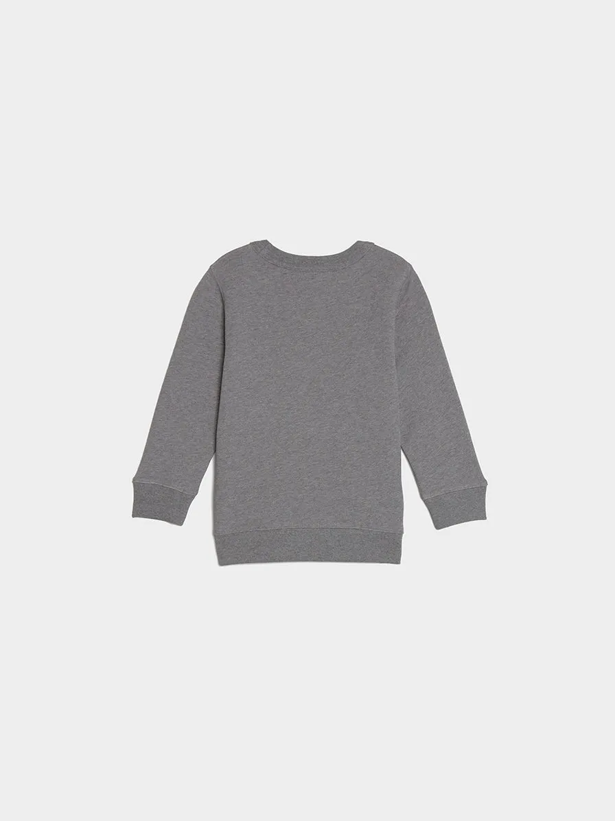 Light Grey Melange Sweatshirt