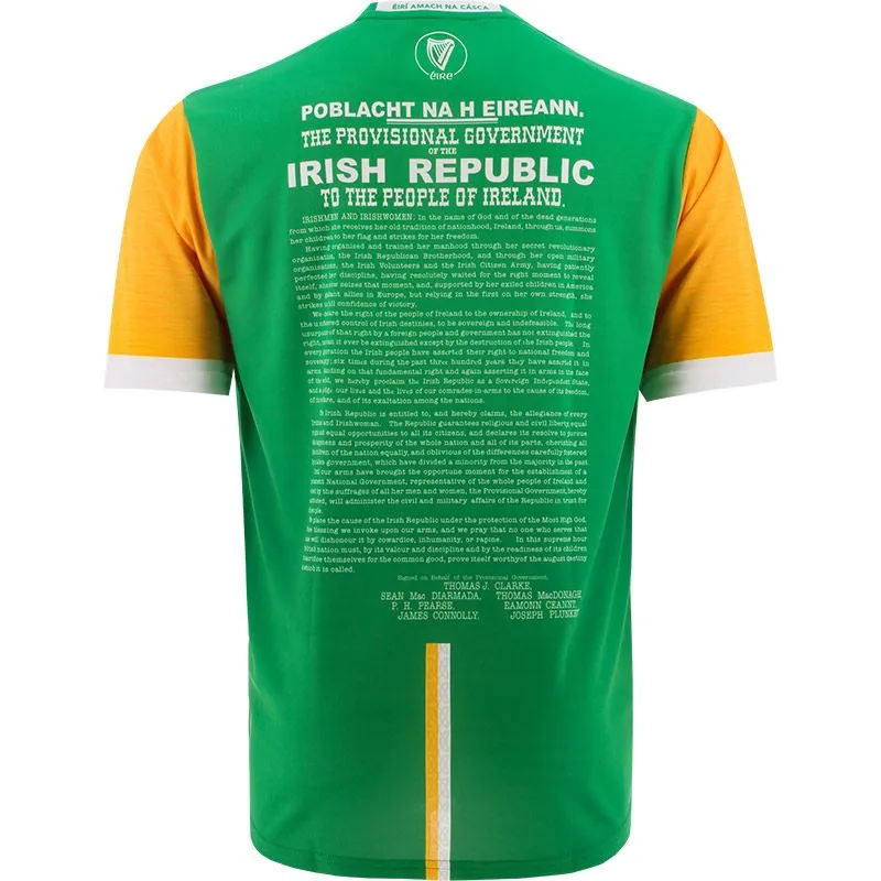 Offaly Kids' 1916 Remastered Jersey 