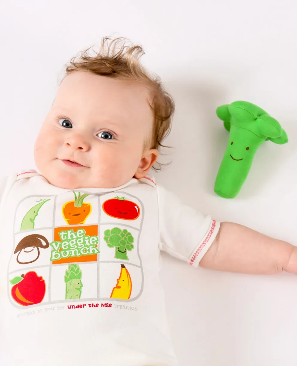 Organic Broccoli Veggie Toy