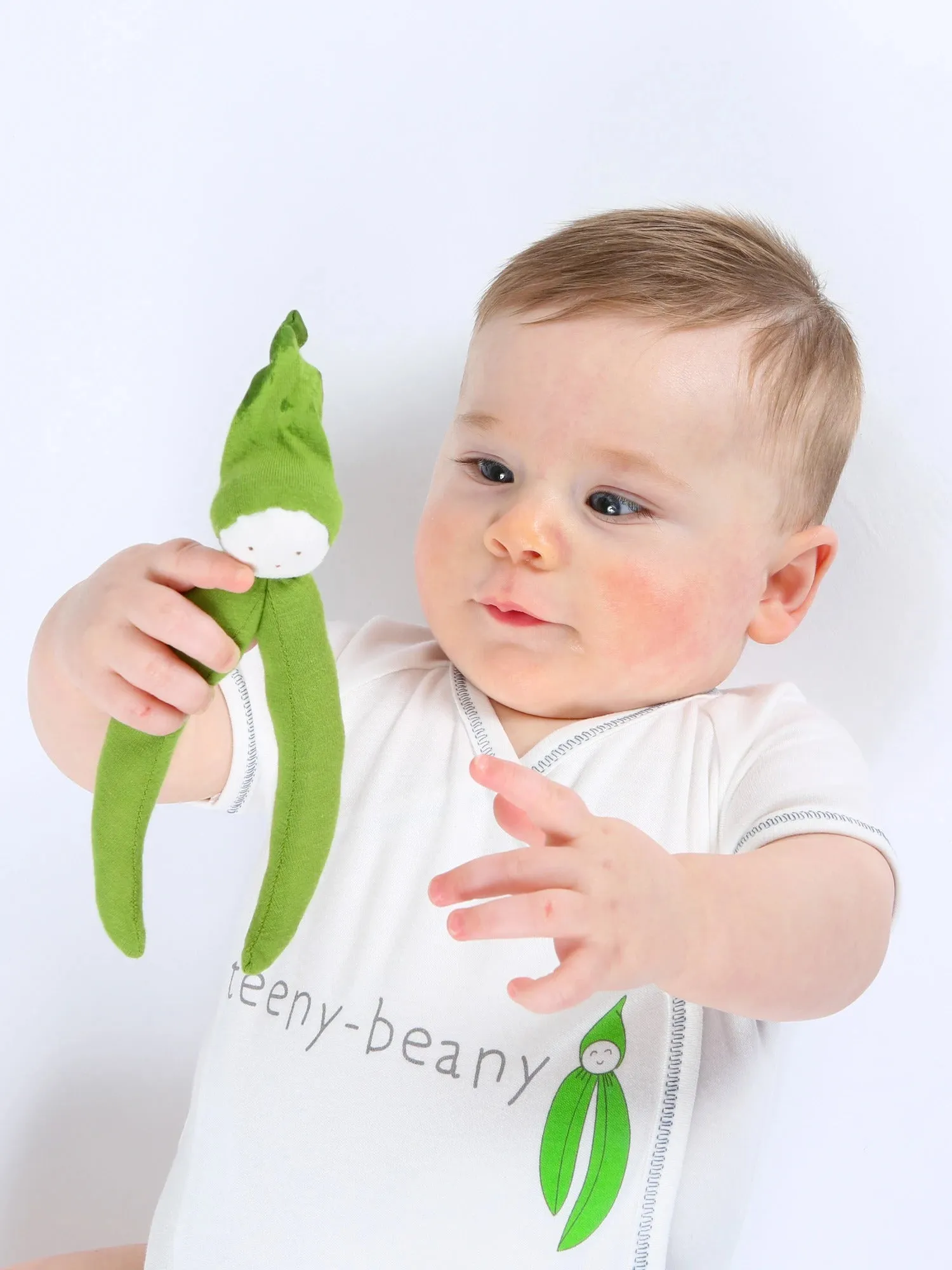 Eco-friendly Vegetable Toy