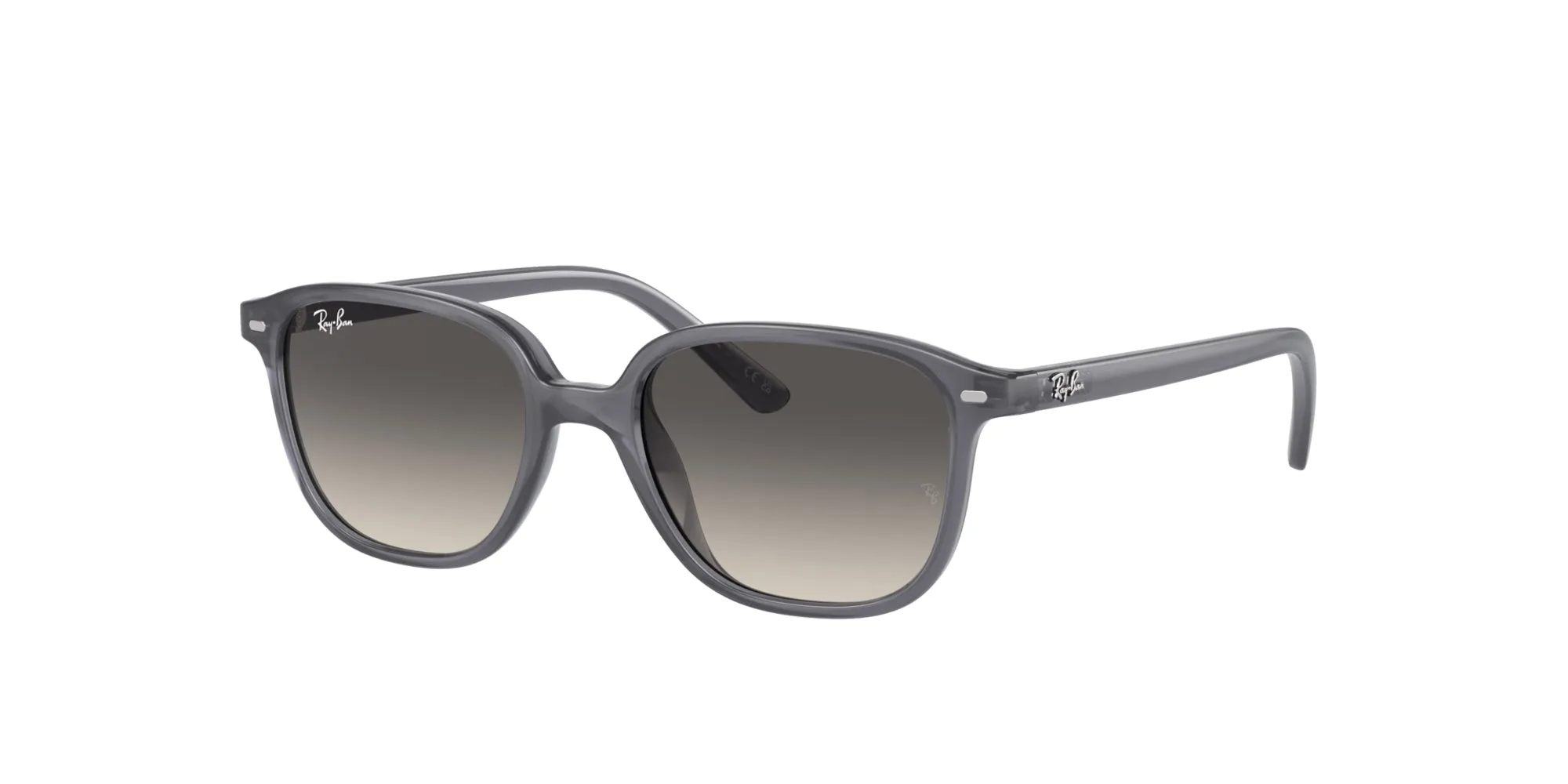 Ray-Ban Kids RJ9093S