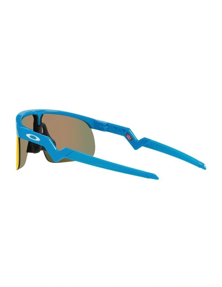 Resistor Kids Sunglasses in Blue