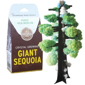 Grow Your Own Giant Sequoia Crystal Kit