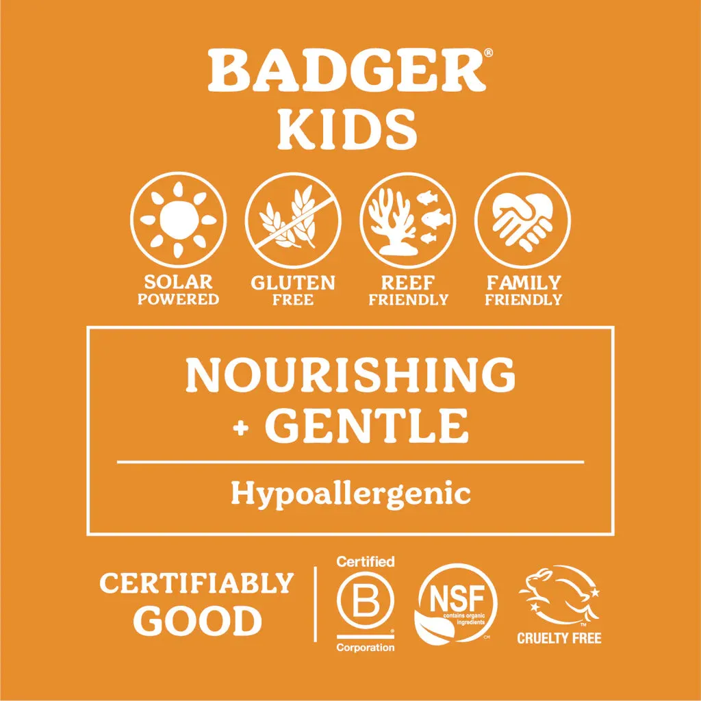 Kids Mineral Sunscreen Face Stick by Badger - SPF 35